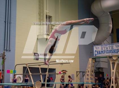Thumbnail 2 in 3A Dive Championship photogallery.