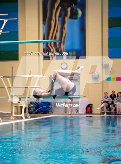 Thumbnail 1 in 3A Dive Championship photogallery.