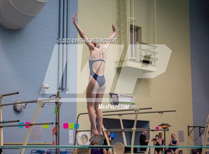 Thumbnail 3 in 3A Dive Championship photogallery.