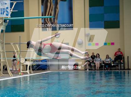 Thumbnail 3 in 3A Dive Championship photogallery.