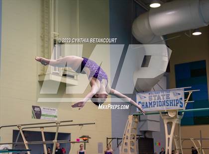 Thumbnail 1 in 3A Dive Championship photogallery.