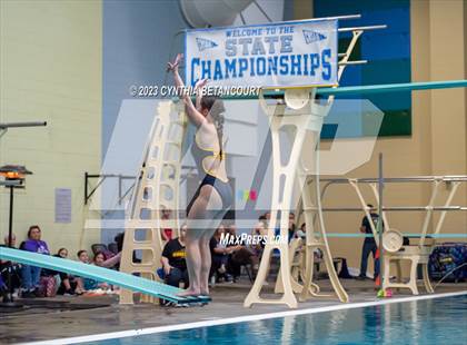 Thumbnail 2 in 3A Dive Championship photogallery.