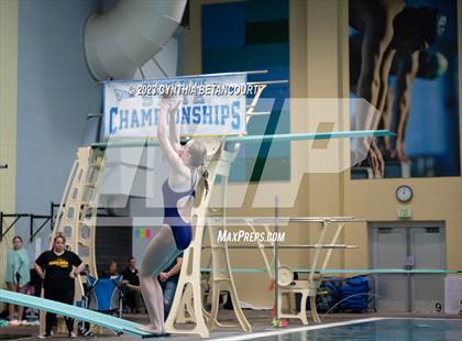 Thumbnail 1 in 3A Dive Championship photogallery.