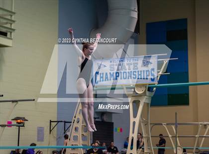 Thumbnail 3 in 3A Dive Championship photogallery.