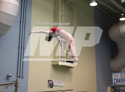Thumbnail 1 in 3A Dive Championship photogallery.