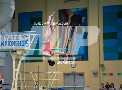 Thumbnail 3 in 3A Dive Championship photogallery.