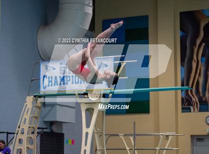 Thumbnail 1 in 3A Dive Championship photogallery.