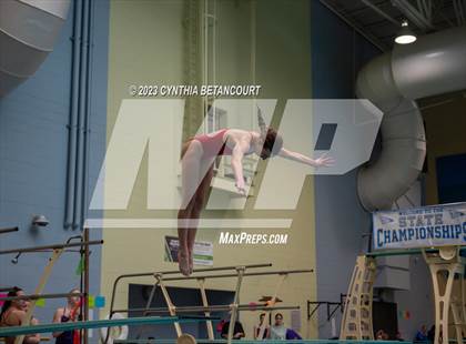 Thumbnail 3 in 3A Dive Championship photogallery.