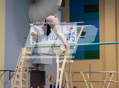 Thumbnail 3 in 3A Dive Championship photogallery.