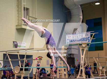 Thumbnail 2 in 3A Dive Championship photogallery.