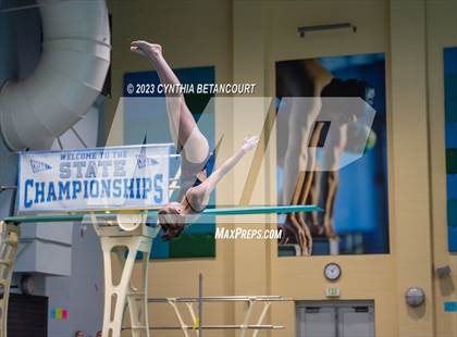 Thumbnail 3 in 3A Dive Championship photogallery.