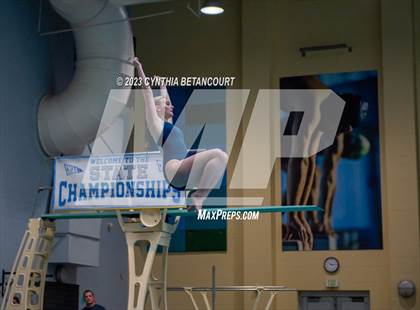 Thumbnail 2 in 3A Dive Championship photogallery.