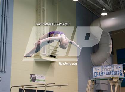 Thumbnail 2 in 3A Dive Championship photogallery.