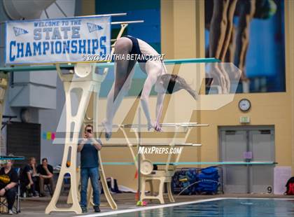 Thumbnail 3 in 3A Dive Championship photogallery.