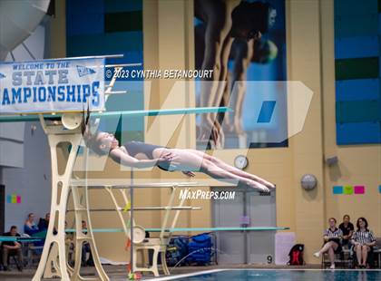 Thumbnail 3 in 3A Dive Championship photogallery.