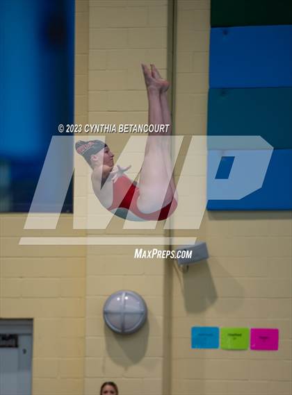 Thumbnail 2 in 3A Dive Championship photogallery.