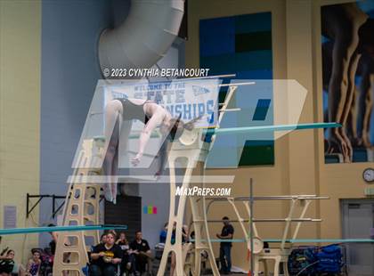 Thumbnail 1 in 3A Dive Championship photogallery.