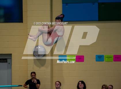 Thumbnail 2 in 3A Dive Championship photogallery.