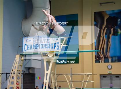Thumbnail 1 in 3A Dive Championship photogallery.