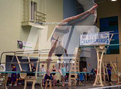 Thumbnail 1 in 3A Dive Championship photogallery.