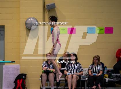 Thumbnail 1 in 3A Dive Championship photogallery.