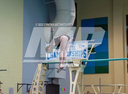 Thumbnail 2 in 3A Dive Championship photogallery.