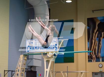 Thumbnail 3 in 3A Dive Championship photogallery.