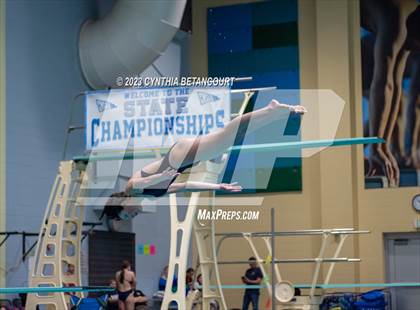 Thumbnail 1 in 3A Dive Championship photogallery.