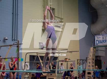 Thumbnail 3 in 3A Dive Championship photogallery.