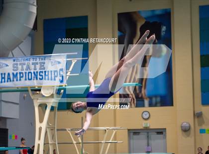 Thumbnail 2 in 3A Dive Championship photogallery.