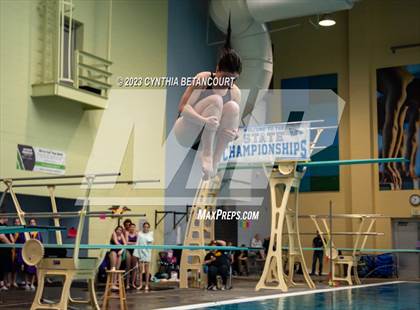 Thumbnail 1 in 3A Dive Championship photogallery.