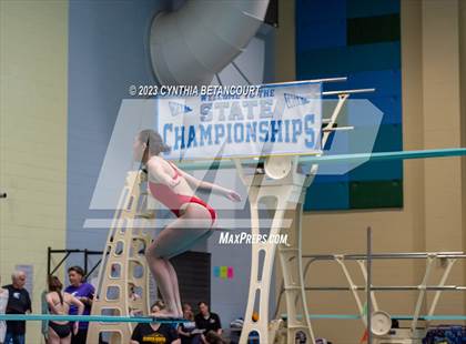 Thumbnail 3 in 3A Dive Championship photogallery.