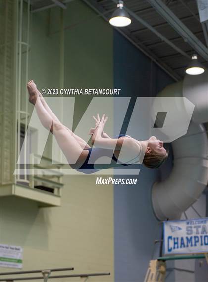 Thumbnail 2 in 3A Dive Championship photogallery.