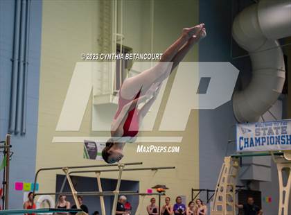 Thumbnail 1 in 3A Dive Championship photogallery.