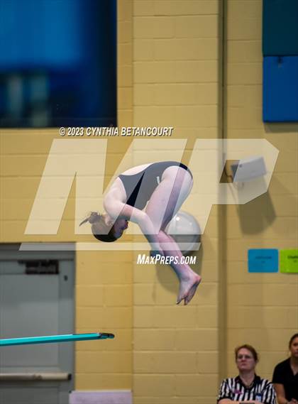 Thumbnail 2 in 3A Dive Championship photogallery.