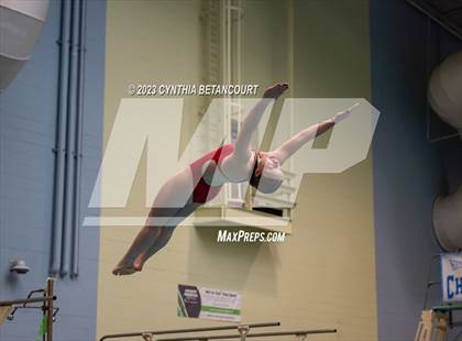 Thumbnail 2 in 3A Dive Championship photogallery.