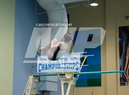 Thumbnail 3 in 3A Dive Championship photogallery.