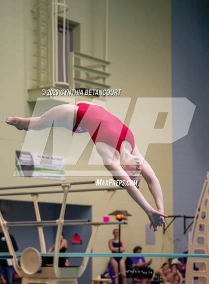 Thumbnail 3 in 3A Dive Championship photogallery.
