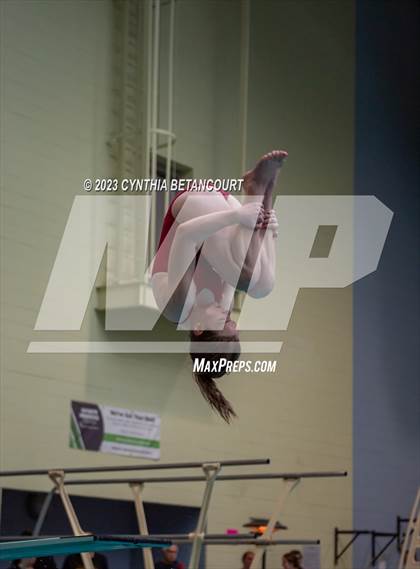 Thumbnail 3 in 3A Dive Championship photogallery.