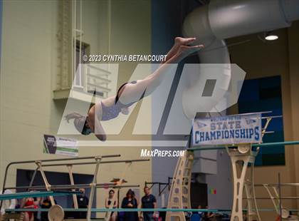 Thumbnail 1 in 3A Dive Championship photogallery.