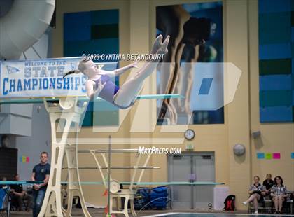 Thumbnail 1 in 3A Dive Championship photogallery.