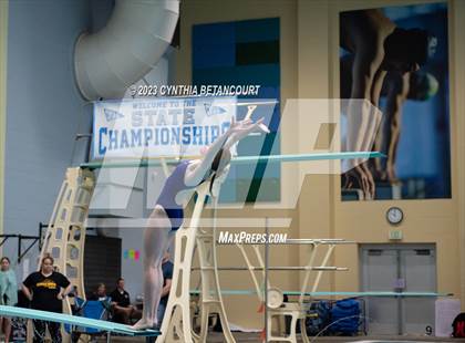 Thumbnail 2 in 3A Dive Championship photogallery.