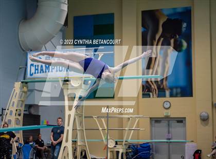 Thumbnail 1 in 3A Dive Championship photogallery.