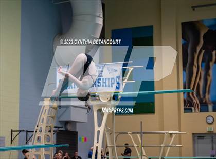 Thumbnail 2 in 3A Dive Championship photogallery.