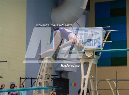 Thumbnail 3 in 3A Dive Championship photogallery.