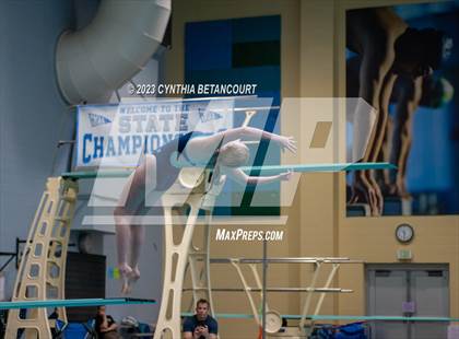 Thumbnail 2 in 3A Dive Championship photogallery.