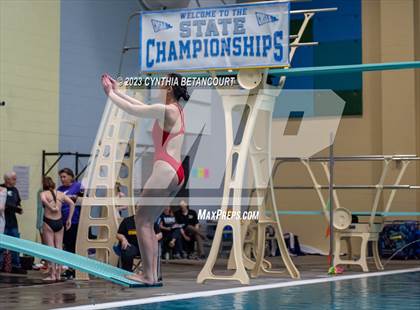 Thumbnail 1 in 3A Dive Championship photogallery.