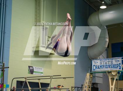 Thumbnail 2 in 3A Dive Championship photogallery.