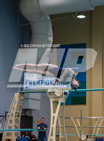 Thumbnail 2 in 3A Dive Championship photogallery.