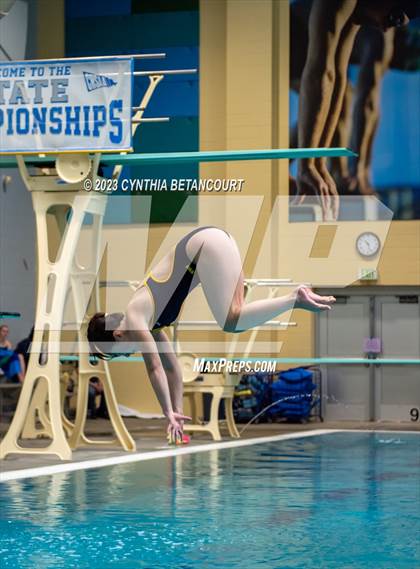 Thumbnail 1 in 3A Dive Championship photogallery.